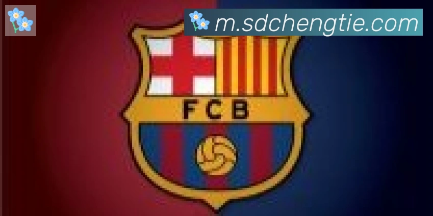 开云app合作伙伴