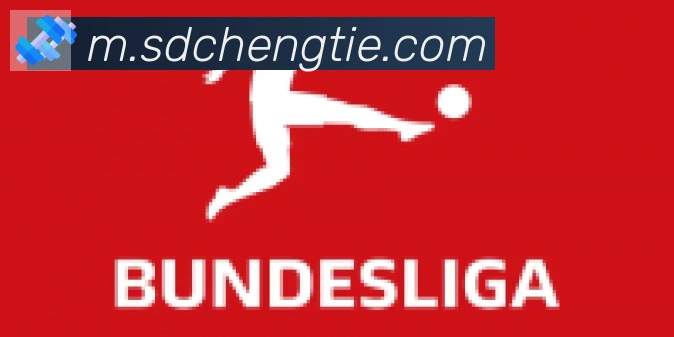 开云app合作伙伴