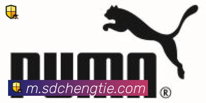 开云app合作伙伴